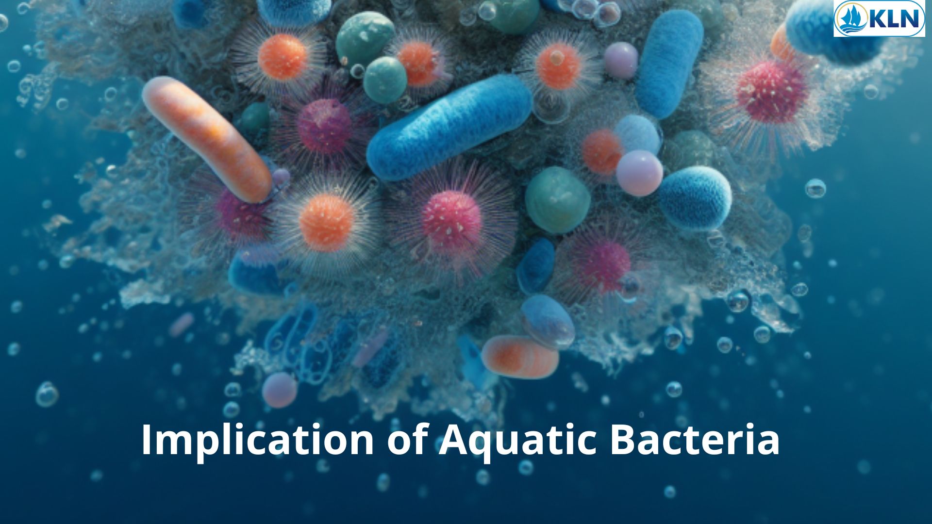 Implication of Aquatic Bacteria 